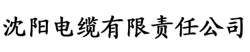 理论片中文字幕在线电缆厂logo